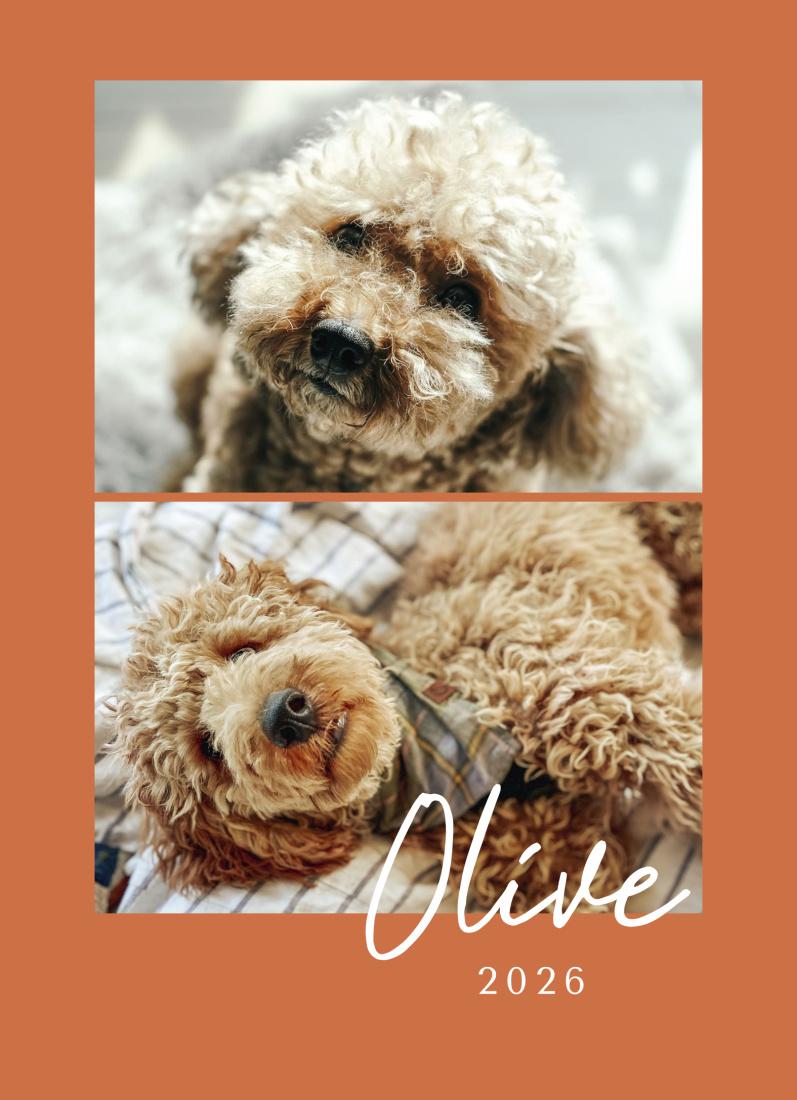 2 Photos layout